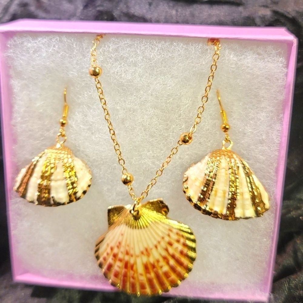 0290. Just for Fun! Shells to get you in the Beach Mood ⛱️ 😎